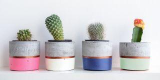 ONE, víceúčelová barva ve spreji, MASTON