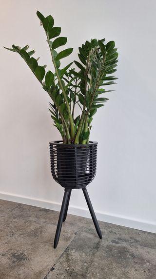 PLASTIC PRIMER, základní sprej na plasty, MASTON